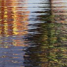 Balloon Reflections